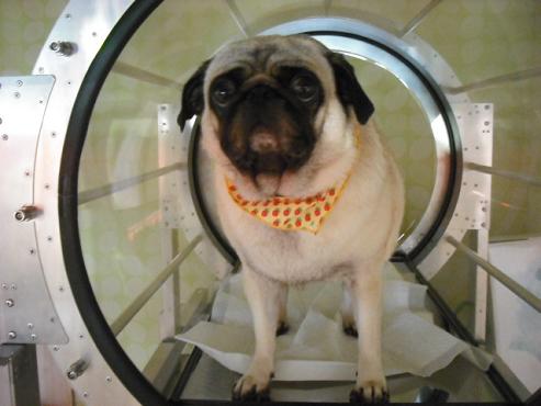 ファイル 821-1.jpg