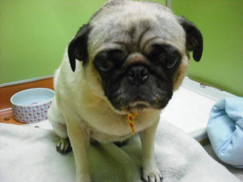 ファイル 821-2.jpg