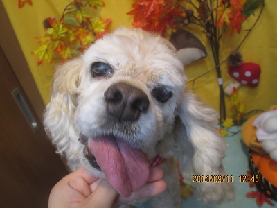 ファイル 8211-1.jpg