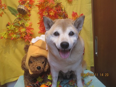 ファイル 8212-2.jpg