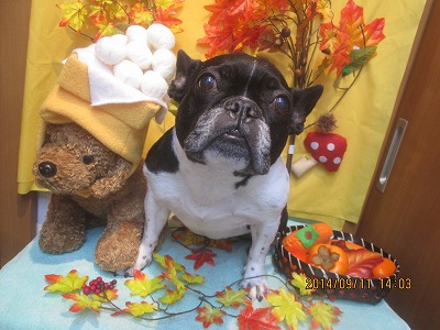 ファイル 8213-1.jpg