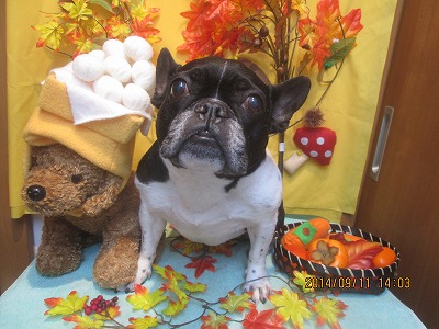 ファイル 8213-2.jpg