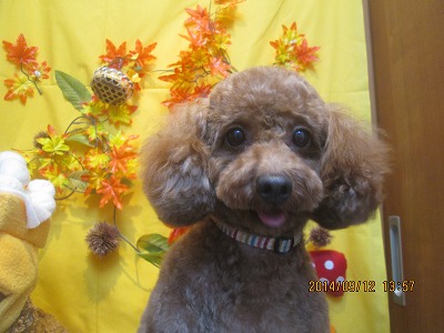 ファイル 8214-1.jpg