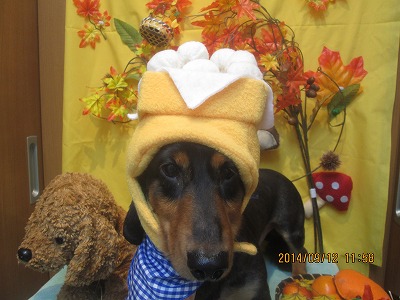 ファイル 8216-1.jpg