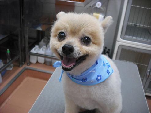 ファイル 822-1.jpg