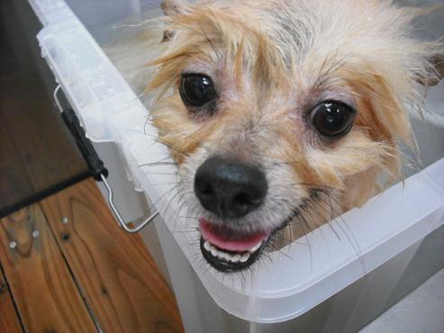 ファイル 822-3.jpg