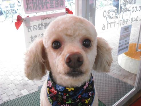 ファイル 823-1.jpg