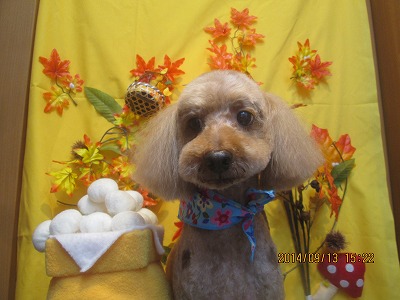 ファイル 8230-2.jpg