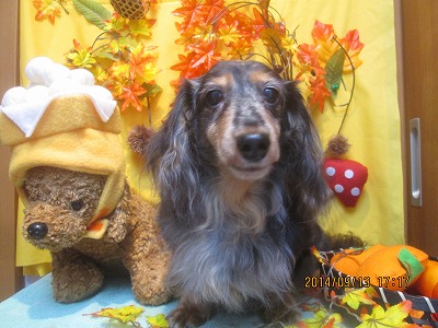 ファイル 8235-2.jpg