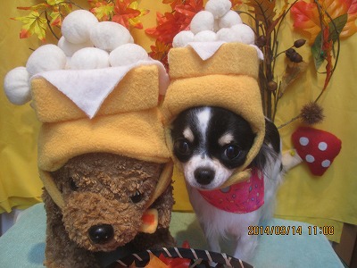 ファイル 8237-1.jpg