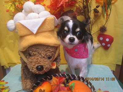 ファイル 8237-2.jpg