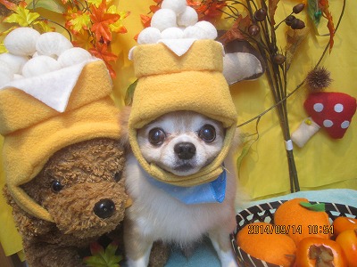 ファイル 8238-1.jpg