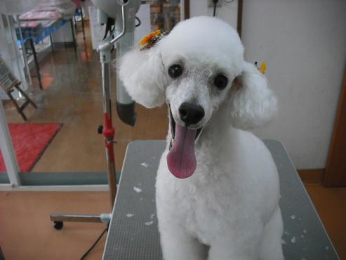 ファイル 824-1.jpg