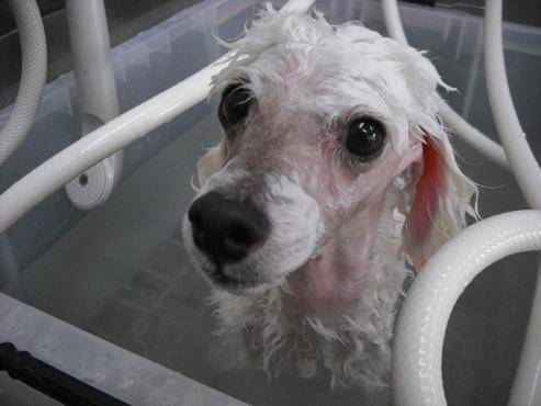 ファイル 824-2.jpg