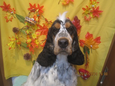 ファイル 8245-2.jpg