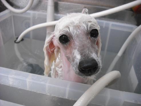 ファイル 825-2.jpg