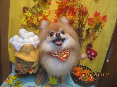 ファイル 8253-2.jpg