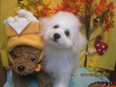 ファイル 8254-2.jpg