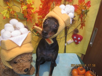 ファイル 8255-1.jpg