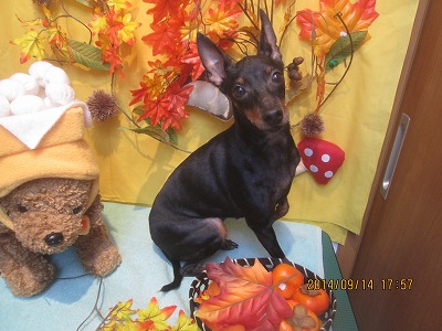 ファイル 8255-2.jpg