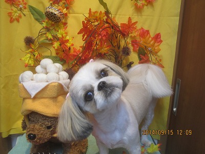 ファイル 8256-2.jpg