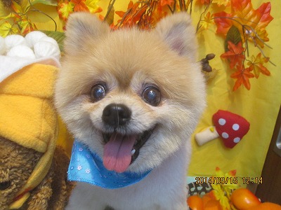 ファイル 8259-2.jpg