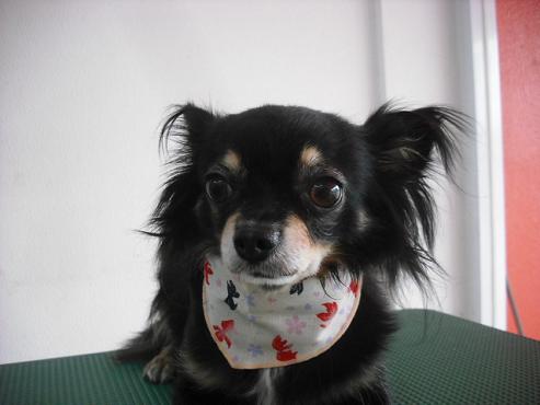 ファイル 826-2.jpg