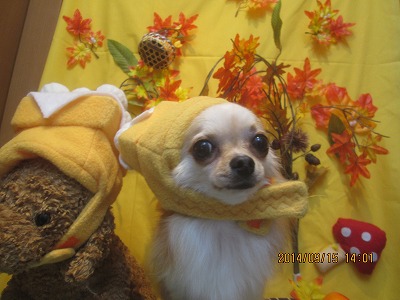 ファイル 8260-2.jpg