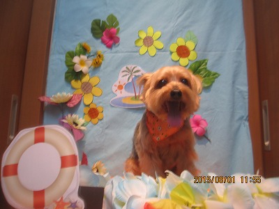 ファイル 8265-1.jpg