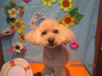 ファイル 8268-1.jpg