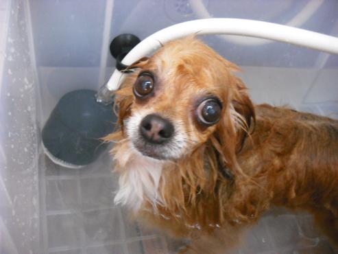 ファイル 827-2.jpg