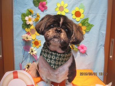 ファイル 8270-1.jpg