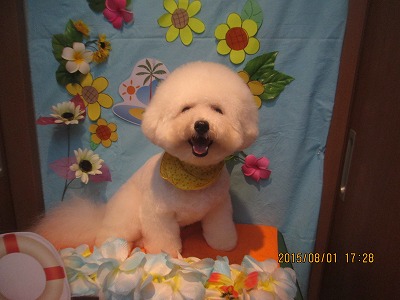 ファイル 8275-1.jpg