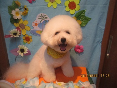 ファイル 8275-2.jpg