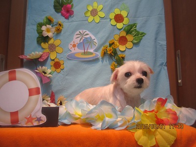 ファイル 8277-1.jpg