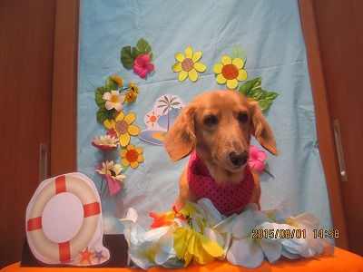 ファイル 8278-1.jpg