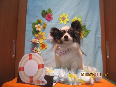 ファイル 8279-1.jpg