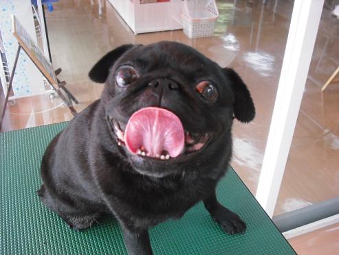 ファイル 828-1.jpg