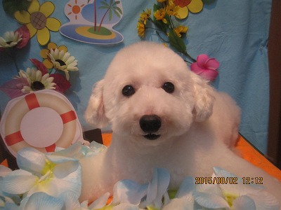 ファイル 8281-1.jpg