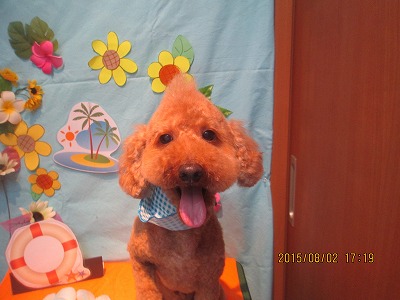 ファイル 8283-1.jpg