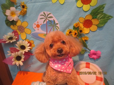 ファイル 8284-1.jpg