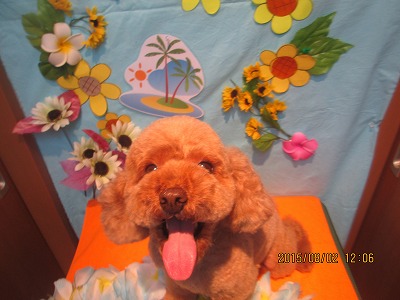 ファイル 8285-2.jpg