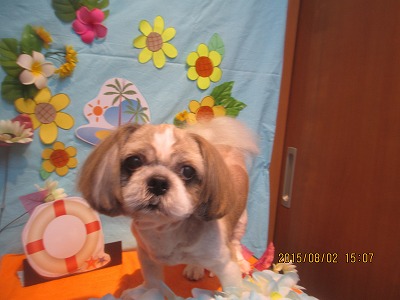 ファイル 8286-1.jpg