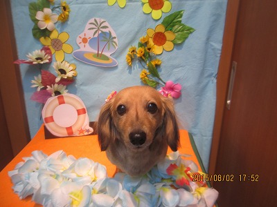 ファイル 8288-2.jpg