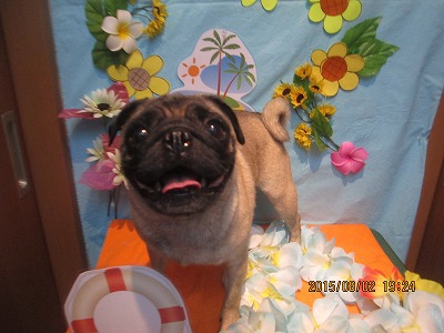 ファイル 8289-2.jpg