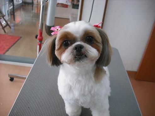 ファイル 829-1.jpg