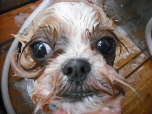 ファイル 829-3.jpg