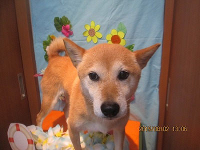 ファイル 8291-1.jpg