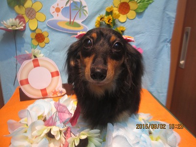 ファイル 8292-1.jpg