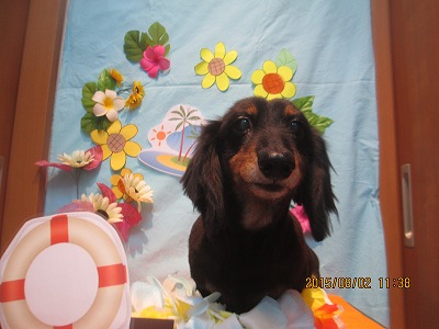 ファイル 8294-1.jpg